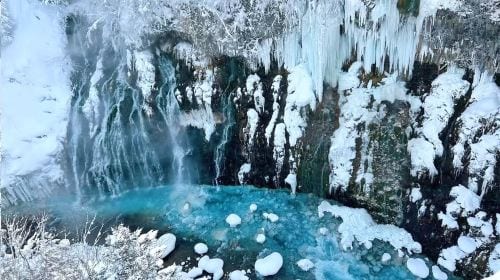 1-day tour to Hokkaido Forest Elf Terrace + Asahiyama Zoo + Shirahige Waterfall + Shirogane Blue Pond (Aoiike) Day Tours