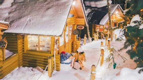 1-day tour to Hokkaido Forest Elf Terrace + Asahiyama Zoo + Shirahige Waterfall + Shirogane Blue Pond (Aoiike) Day Tours