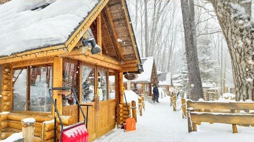 1-day tour to Hokkaido Forest Elf Terrace + Asahiyama Zoo + Shirahige Waterfall + Shirogane Blue Pond (Aoiike) Day Tours