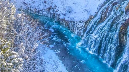 Hokkaido Illumination Tour & Shikisai no Oka & Christmas Tree & Elf Terrace & Shirogane Blue Pond (Aoiike) Waterfall / Chinese-Speaking Driver Guide Day Tours experience image 3
