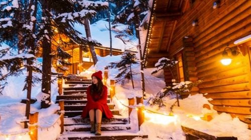 Hokkaido Illumination Tour & Shikisai no Oka & Christmas Tree & Elf Terrace & Shirogane Blue Pond (Aoiike) Waterfall / Chinese-Speaking Driver Guide Day Tours