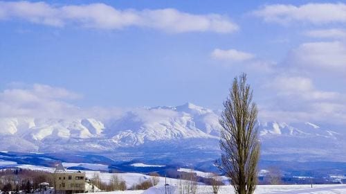 Hokkaido Illumination Tour & Shikisai no Oka & Christmas Tree & Elf Terrace & Shirogane Blue Pond (Aoiike) Waterfall / Chinese-Speaking Driver Guide Day Tours