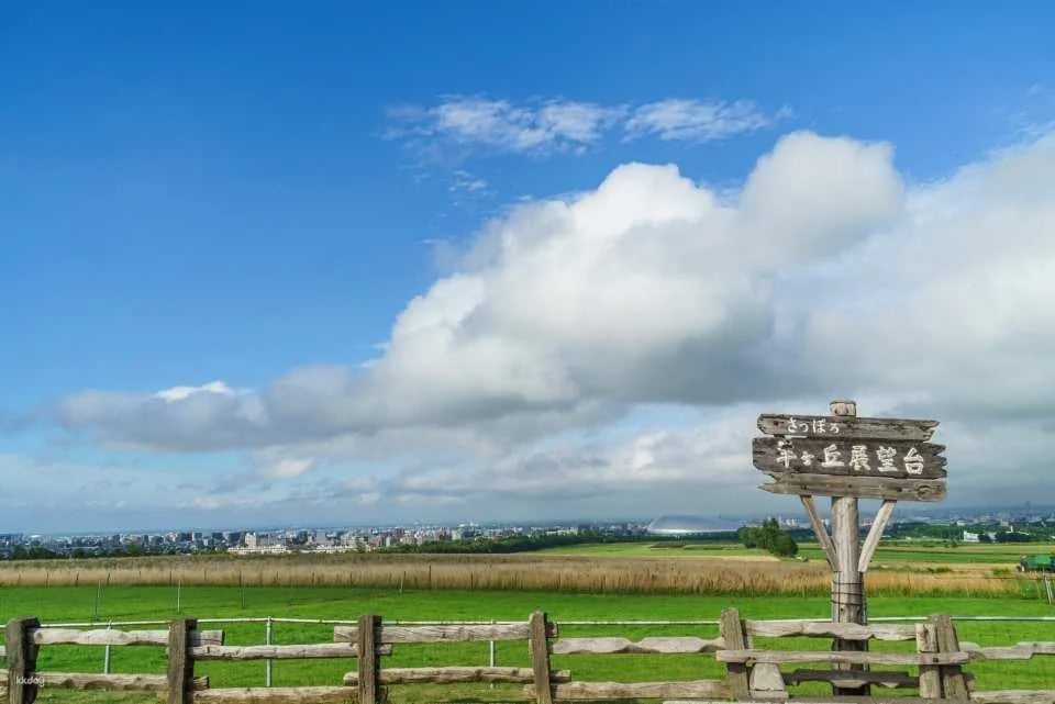 [Limited time offer! Up to 10% off]Hokkaido Must-See: Sapporo Hitsujigaoka Observation Hill Ticket | Japan