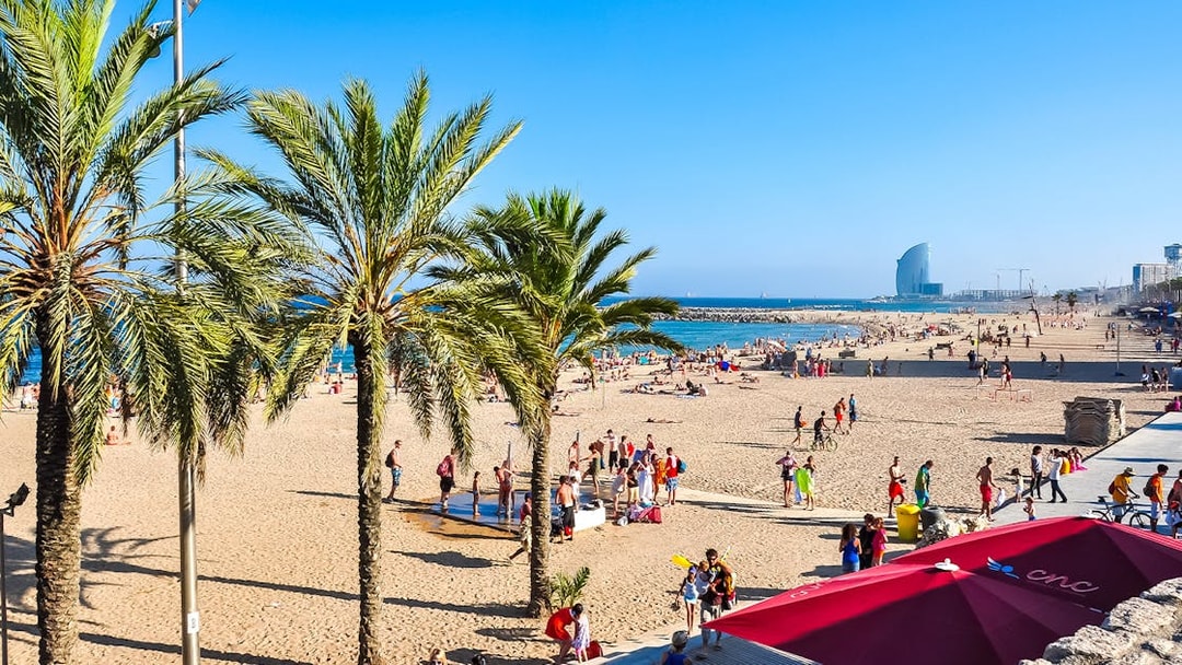 Tourists at Barceloneta Beach, Barcelona, with palm trees and sea view.