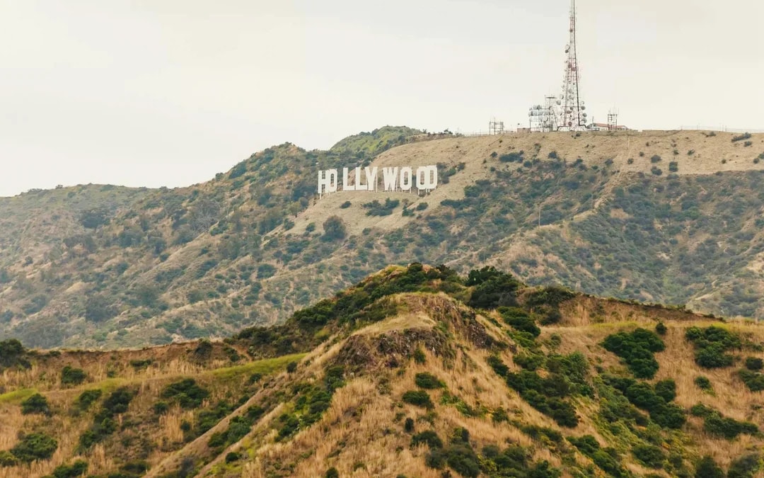 Hollywood Sightseeing & Celebrity Homes Tour Image 10