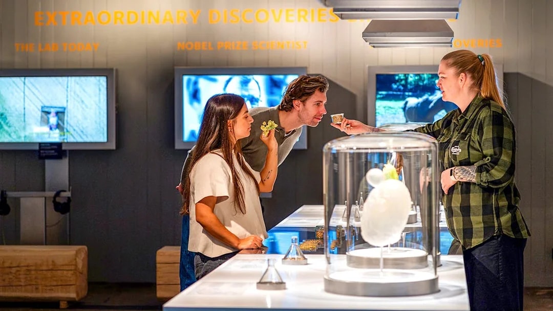 Guests engaging with exhibits inside the Home of Carlsberg museum.