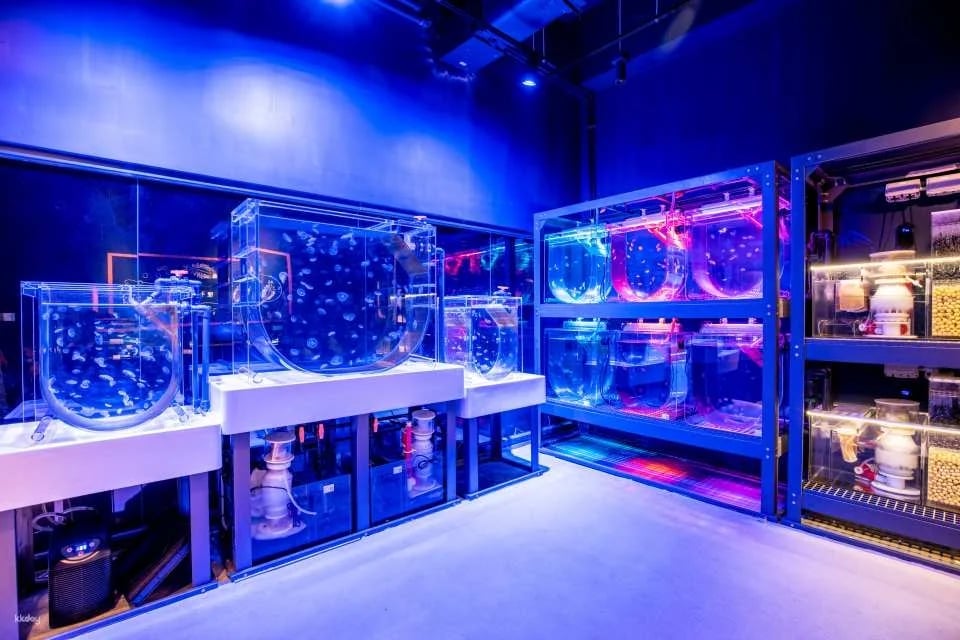 Hong Kong Ocean Cube Discovery Center | Hong Kong’s first ocean experience center | 2-hour experience ticket. Day ticket to explore the museum｜A great place for parents and children