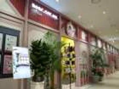 ROOF CAT ME Cat Cafe Weekday Discount Admission Ticket