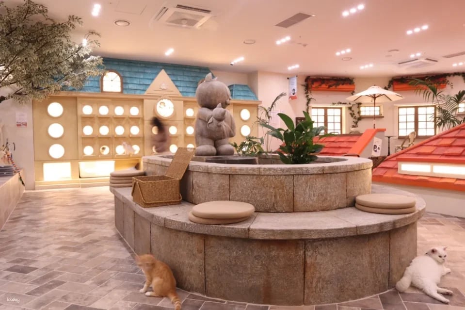ROOF CAT ME Cat Cafe Weekday Discount Admission Ticket