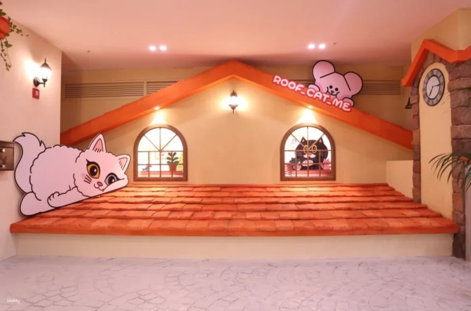 ROOF CAT ME Cat Cafe Weekday Discount Admission Ticket