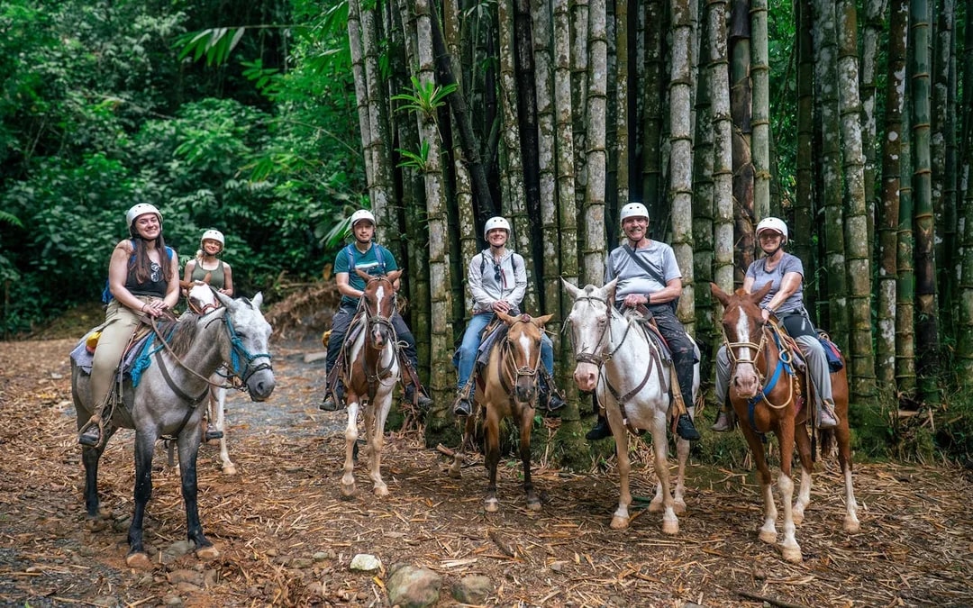 Horseback Riding Tour through the Jungle from Manuel Antonio Image 6