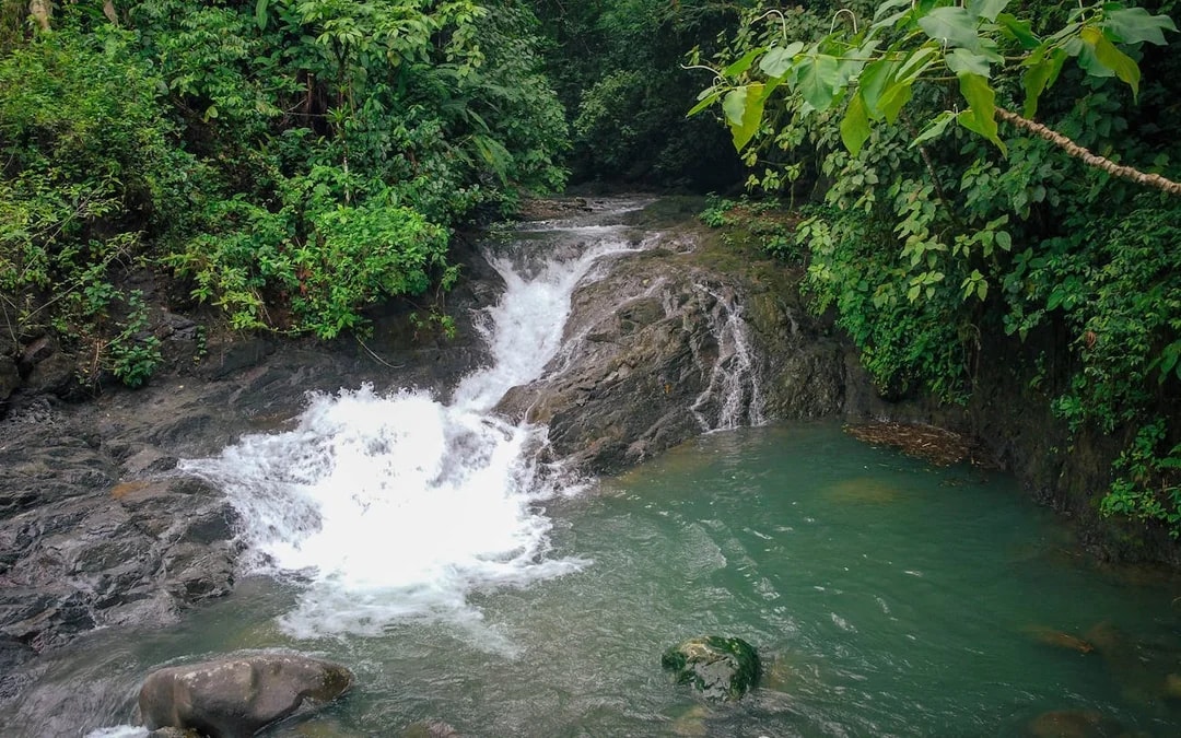 Horseback Riding Tour through the Jungle from Manuel Antonio Image 7