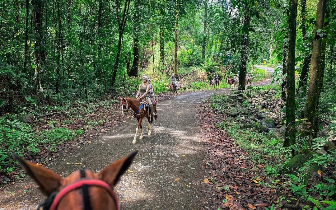 Horseback Riding Tour through the Jungle from Manuel Antonio Image 9