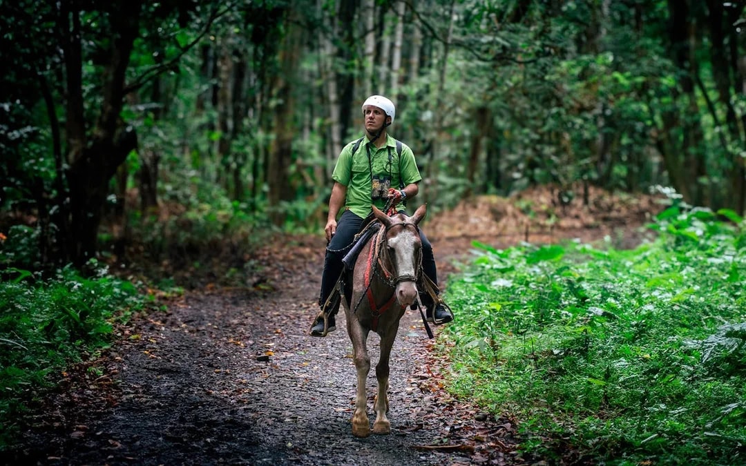 Horseback Riding Tour through the Jungle from Manuel Antonio Image 10