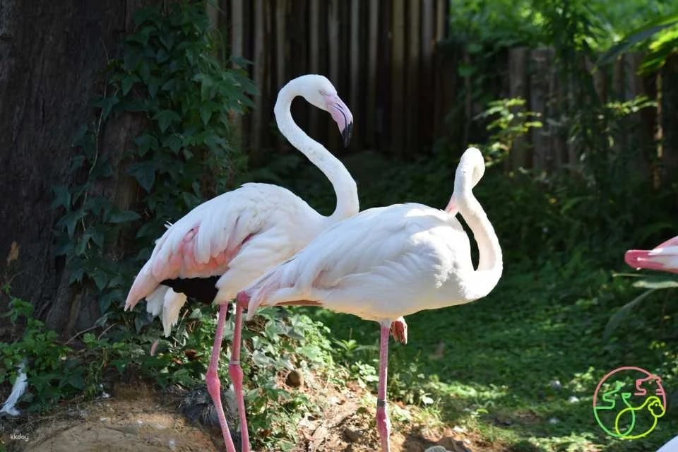 Hsinchu Zoo Tickets
