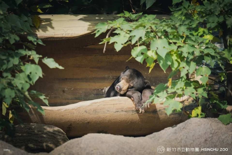 Hsinchu Zoo Tickets