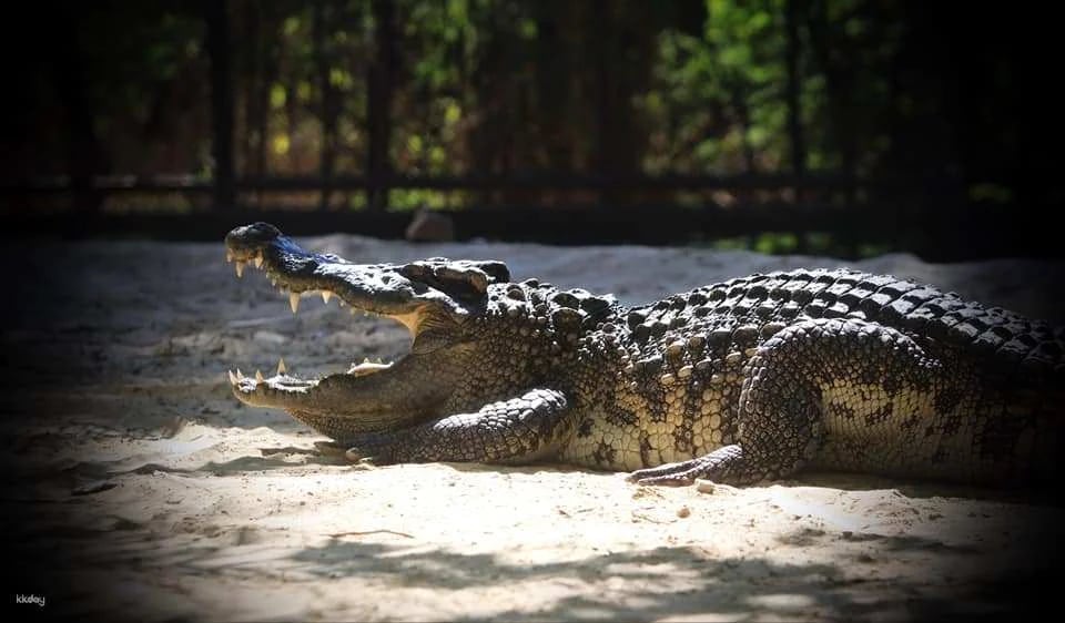 Hua-Hin: Safari & Adventure Park Admission Ticket | Thailand