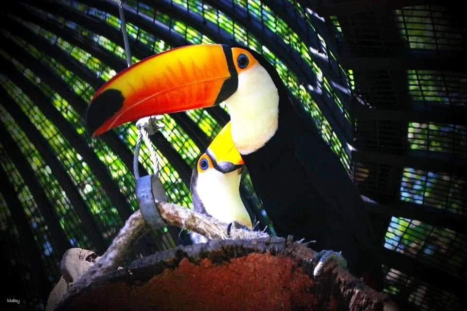 Hua-Hin: Safari & Adventure Park Admission Ticket | Thailand