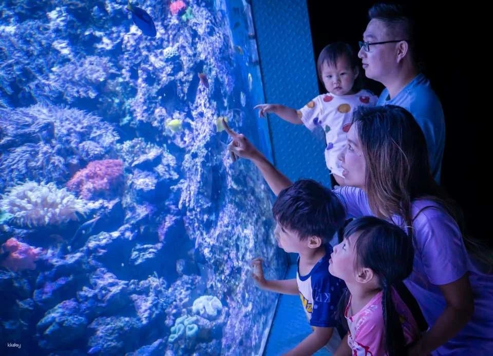 Hualien Farglory Ocean Park | Ocean Never Sleeps