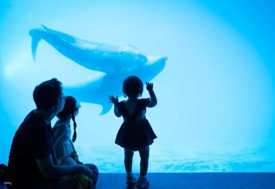 Hualien Farglory Ocean Park | Ocean Never Sleeps
