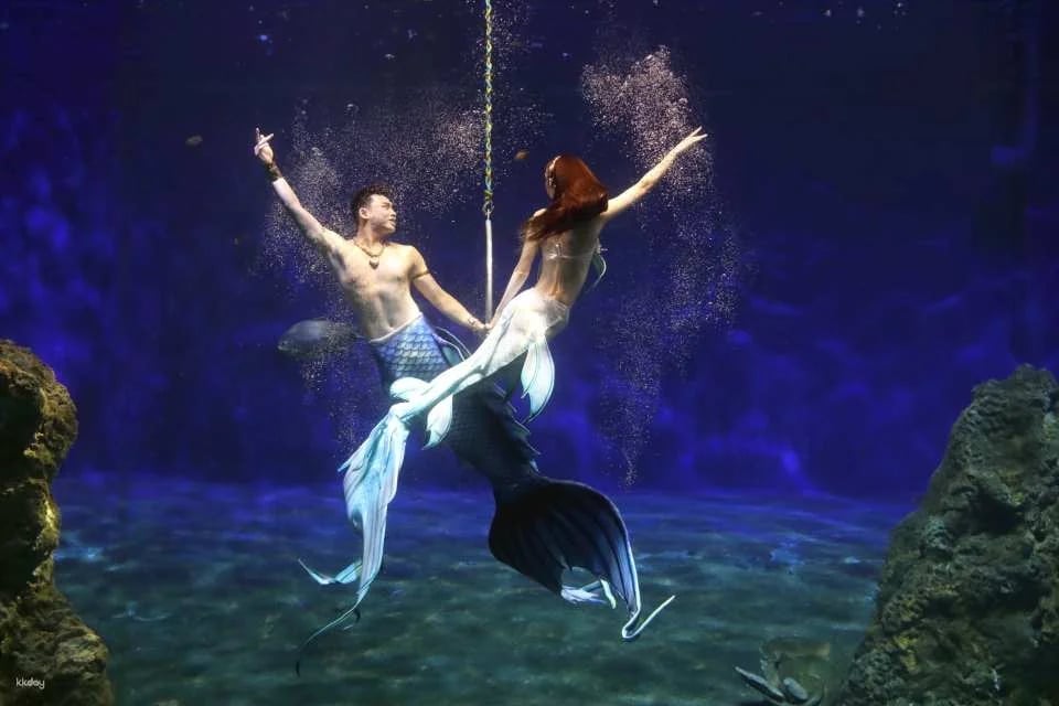 Hualien Farglory Ocean Park | Ocean Never Sleeps