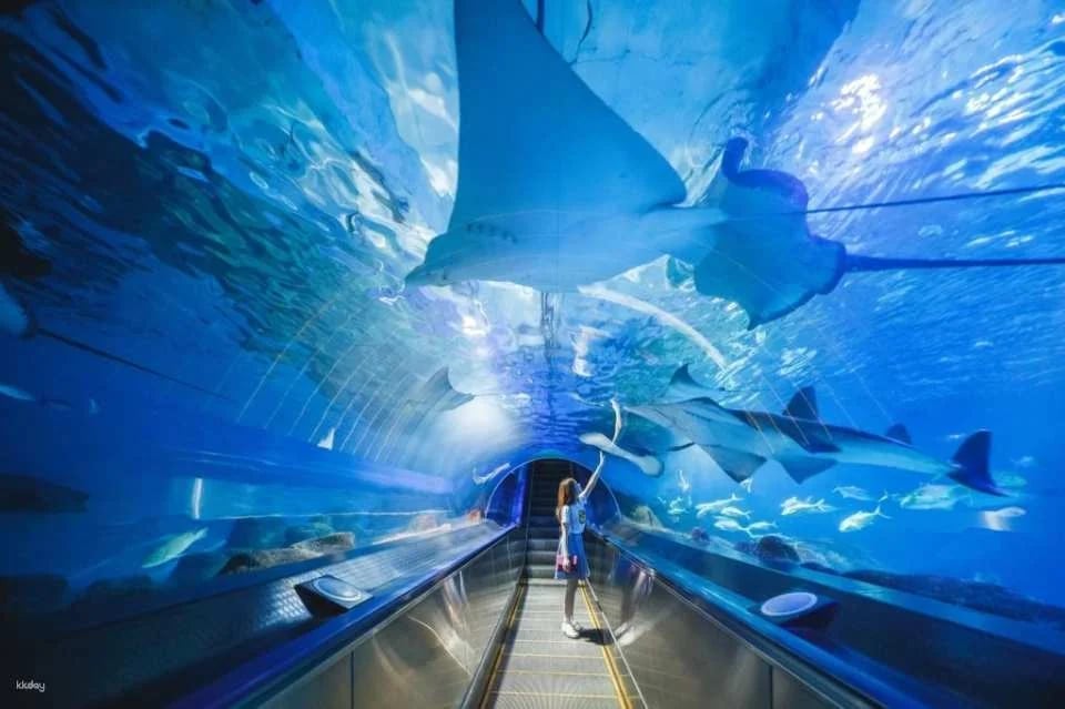 Hualien Farglory Ocean Park Tickets