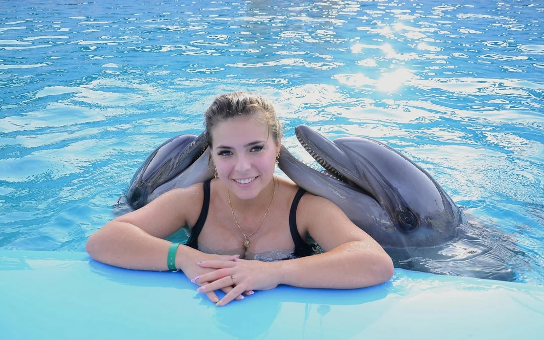 Hurghada Dolphin World Show & Meet-the-Dolphin Photo Experience with Transfers Image 10