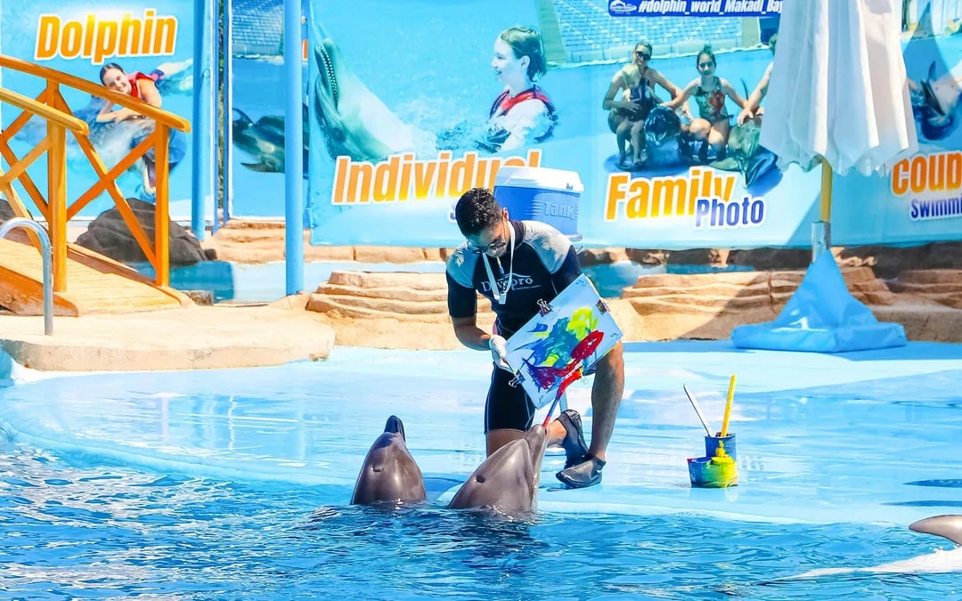 Hurghada Dolphin World Show Tickets with Optional Transfers  Image 2