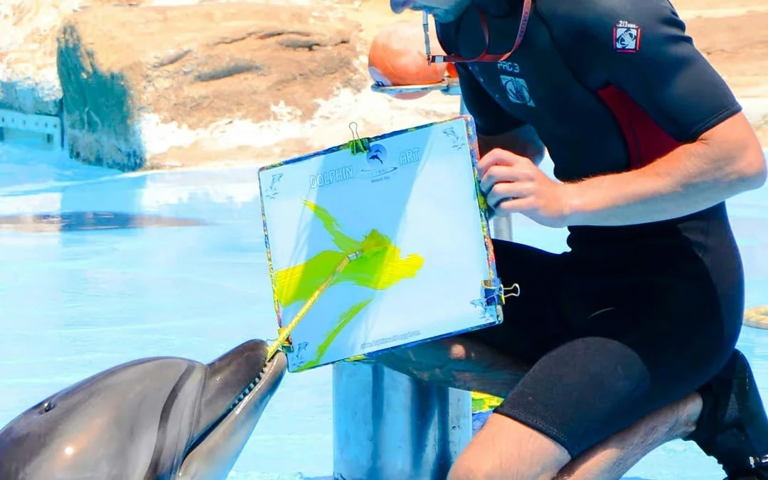 Hurghada Dolphin World Show Tickets with Optional Transfers  Image 11