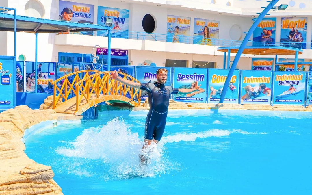 Hurghada Dolphin World Show Tickets with Optional Transfers  Image 10