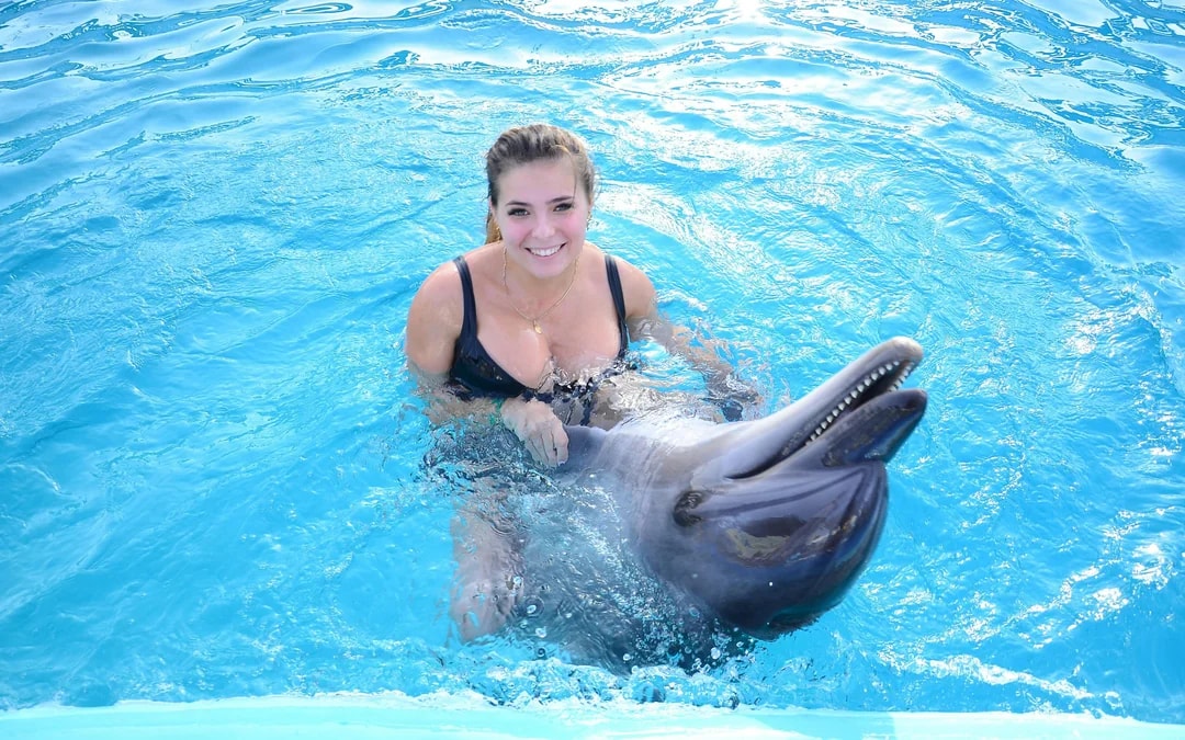Hurghada Dolphin World Show with Dolphin Swim Session & Transfers Image 4