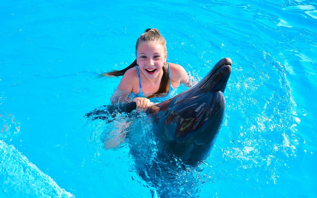 Hurghada Dolphin World Show with Dolphin Swim Session & Transfers Image 6