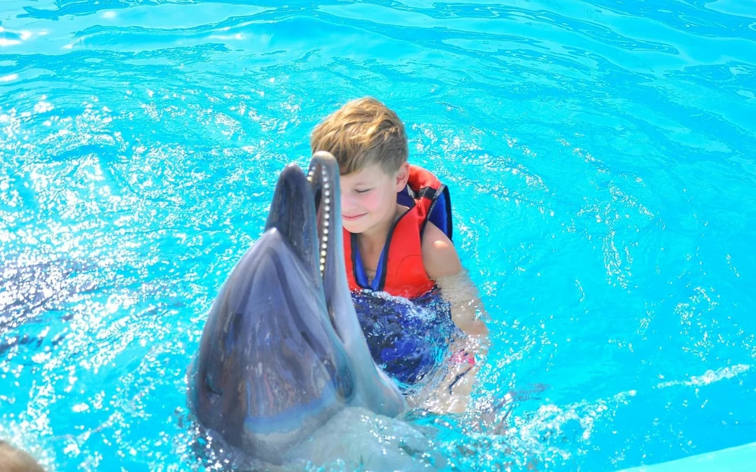 Hurghada Dolphin World Show with Dolphin Swim Session & Transfers Image 7