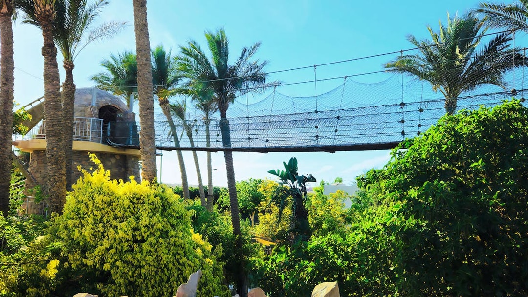 Rope bridge and lush greenery at Hurghada Grand Aquarium, Egypt.