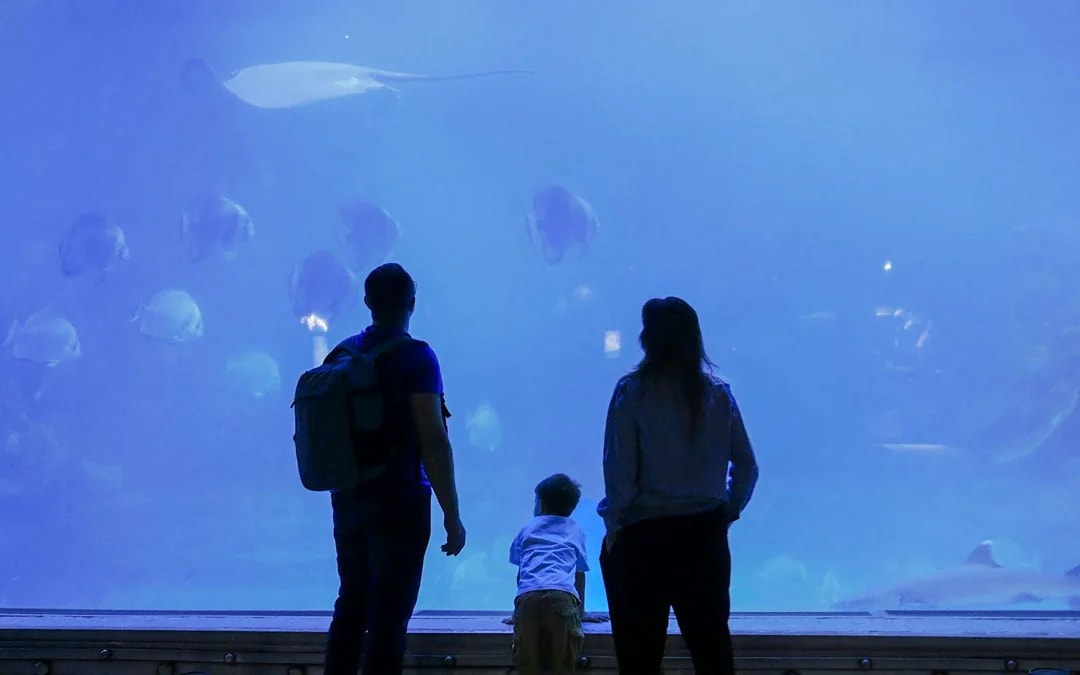 Hurghada Grand Aquarium Entry Tickets Image 7