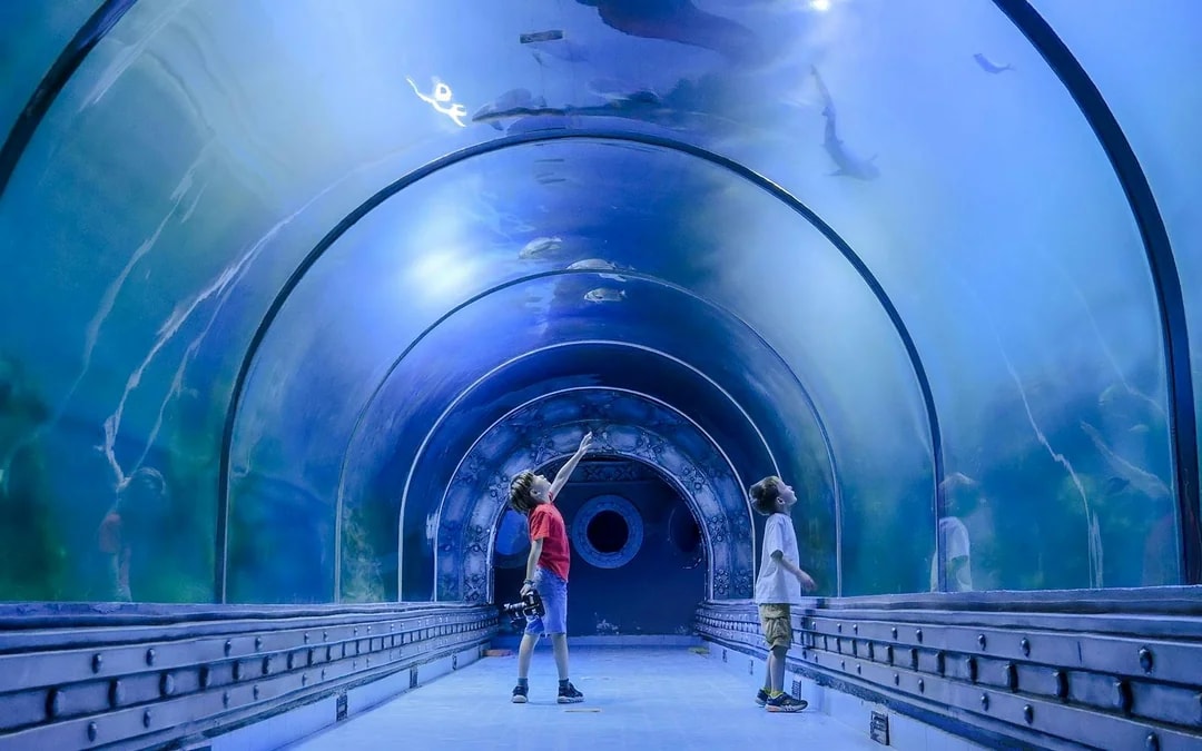 Hurghada Grand Aquarium Entry Tickets Image 1