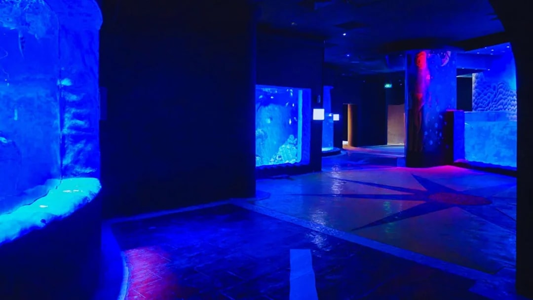 Hurghada Grand Aquarium interior with illuminated blue tanks.