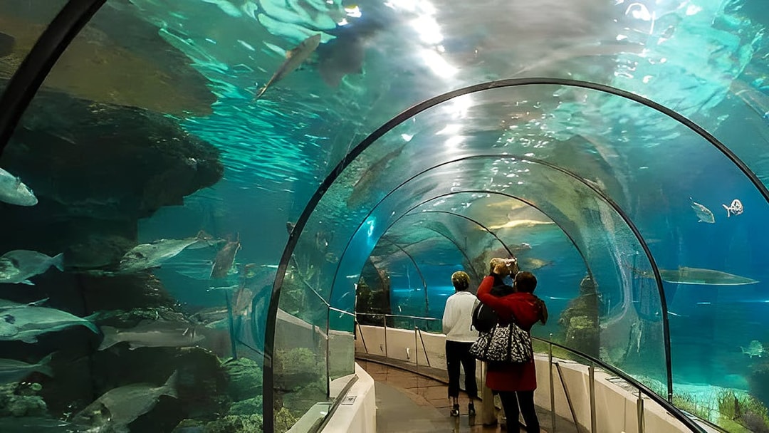 Visitors walking through underwater tunnel at Hurghada Grand Aquarium.