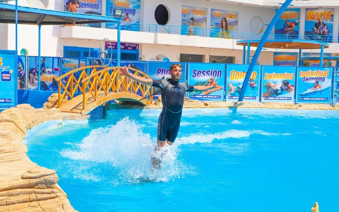 Hurghada Ultimate Dolphin Experience with Dolphin Show, Swimming Experience & Photo Session with Transfers Image 1