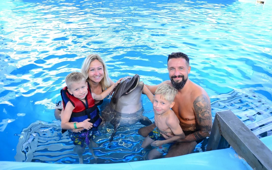 Hurghada Ultimate Dolphin Experience with Dolphin Show, Swimming Experience & Photo Session with Transfers Image 6