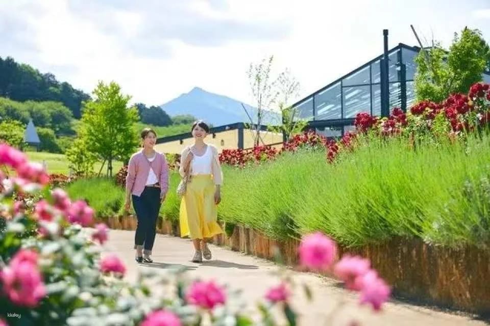 Ibaraki, Japan | Ibaraki Flower Park Tickets