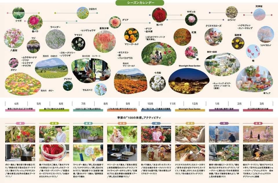 Ibaraki, Japan | Ibaraki Flower Park Tickets