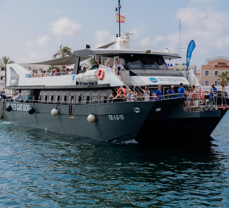Ibiza: Platja d'en Bossa Round-Trip Transfer to Formentera