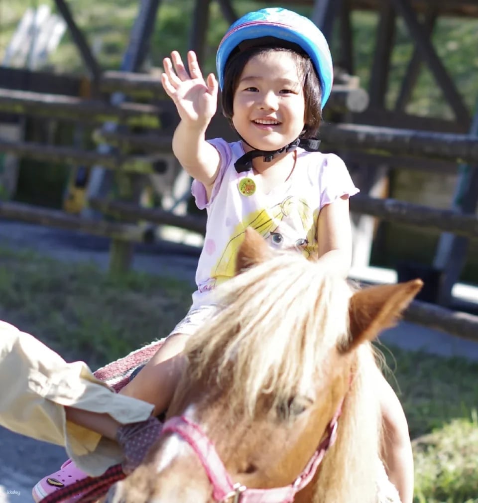 Ikaho Green Bokujo Admission Ticket | Gunma