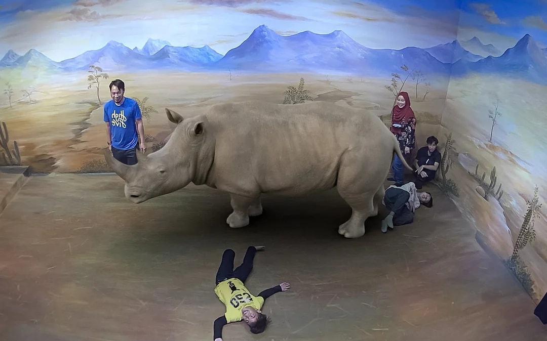 illusion 3D Art Museum Tickets Image 6