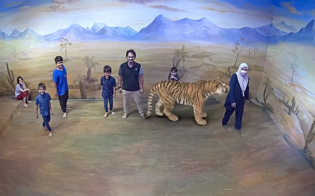 illusion 3D Art Museum Tickets Image 9