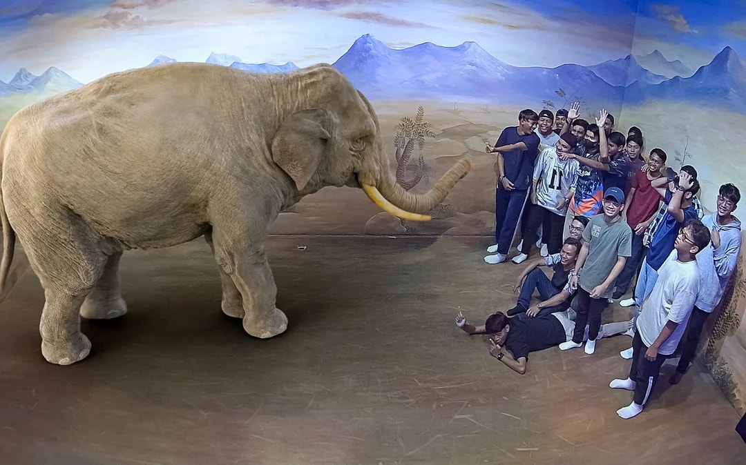 illusion 3D Art Museum Tickets Image 1