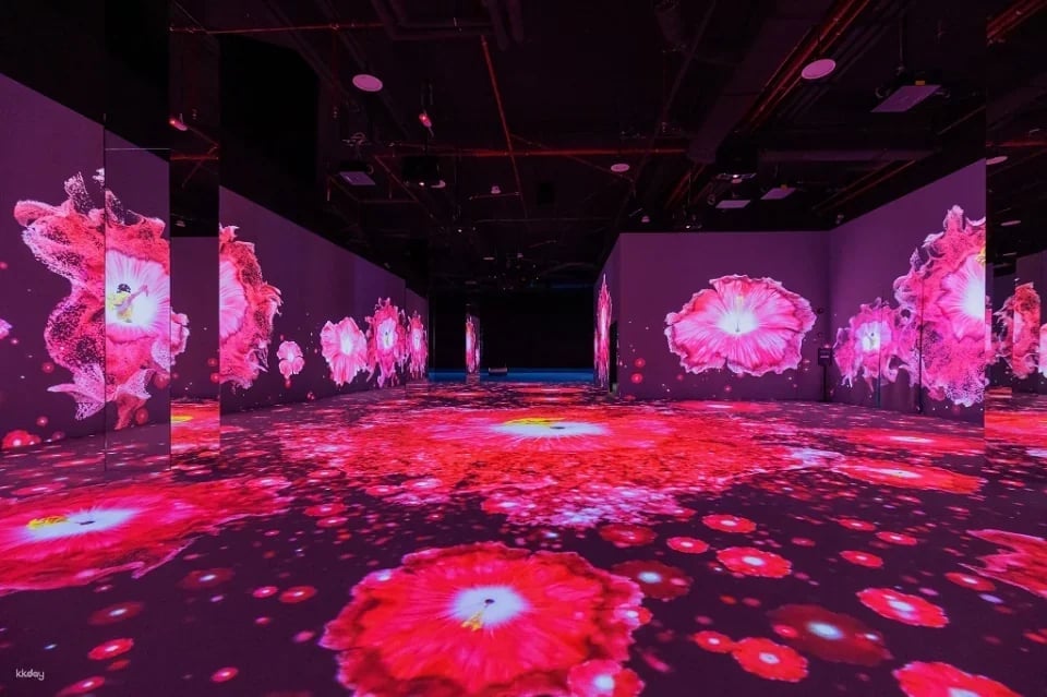 Immersify KL: Digital Media Art Gallery in Kuala Lumpur