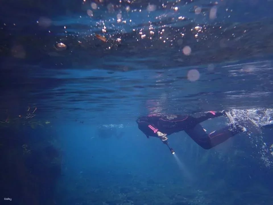 Inazumi Underwater Cave Admission Ticket (Bungo-Ono City, Oita Prefecture)