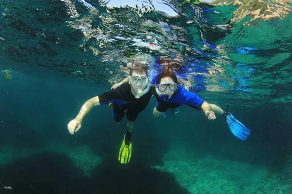 Individual snorkeling excursion by speedboat in Mallorca